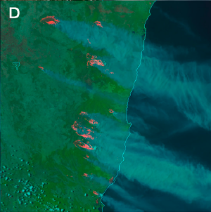 SNPP VIIRS Day Fire RGB -- 8 November 2019, 03:29 UTC